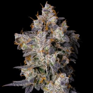 cherry zelato cookies