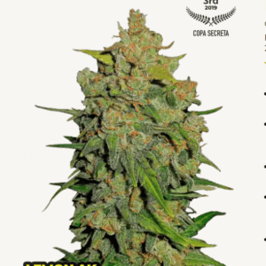 Lemon AK Auto - FastBud420