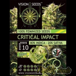 Critical Impact - Pack da 10 - Vision Seeds - immagine 2