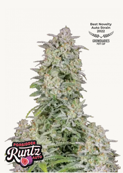 forbidden runtz auto Fastbuds