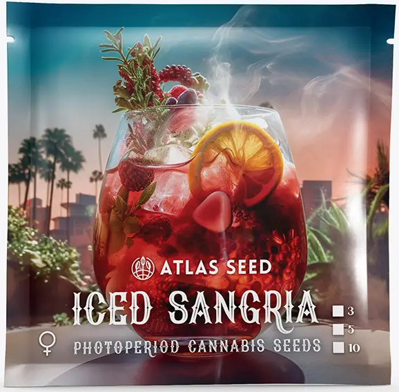 iced sangria atlas seed