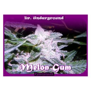 melon gum Dr underground