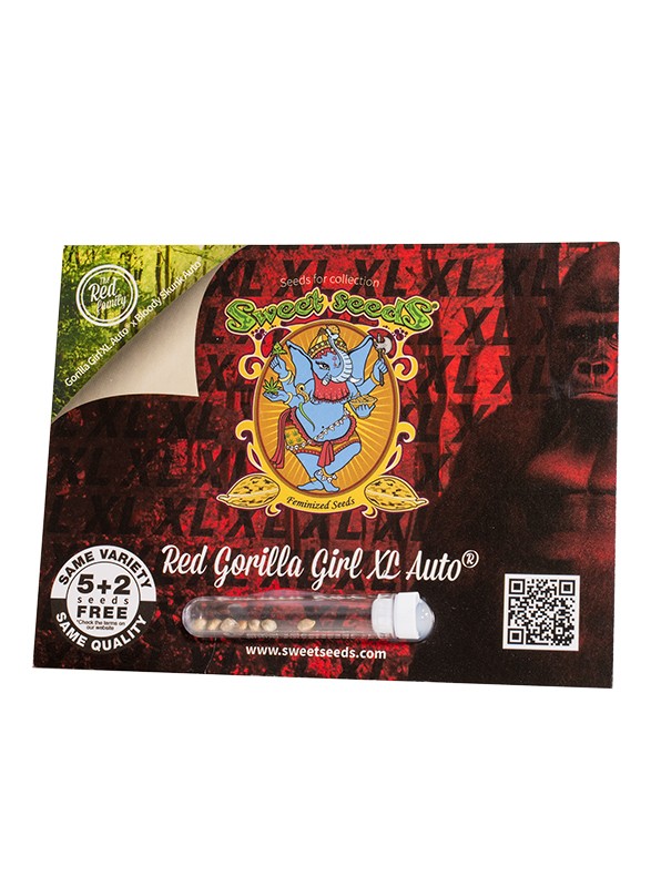 Red Gorilla Girl XL auto - Sweet Seeds - immagine 2