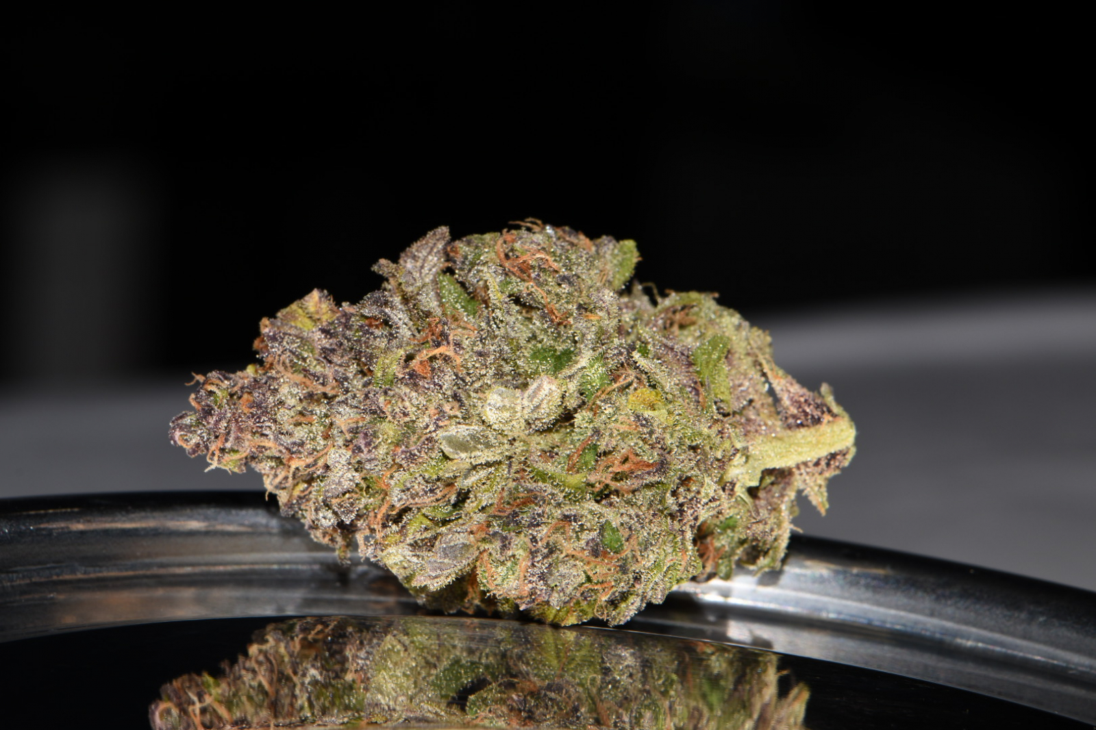 Smoothie Auto - Fastbud420 - immagine 3