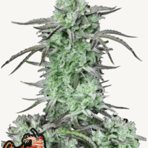 strawberry banana auto fastbuds