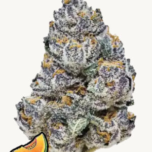 rainbow melon fastbuds