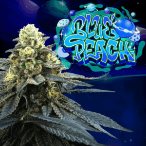 Blue Peach perfect tree