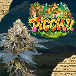 picchu perfect tree