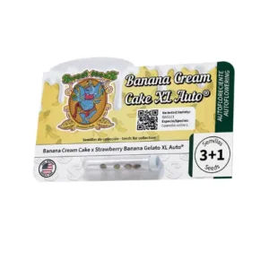 Banana Cream Cake XL Auto pack