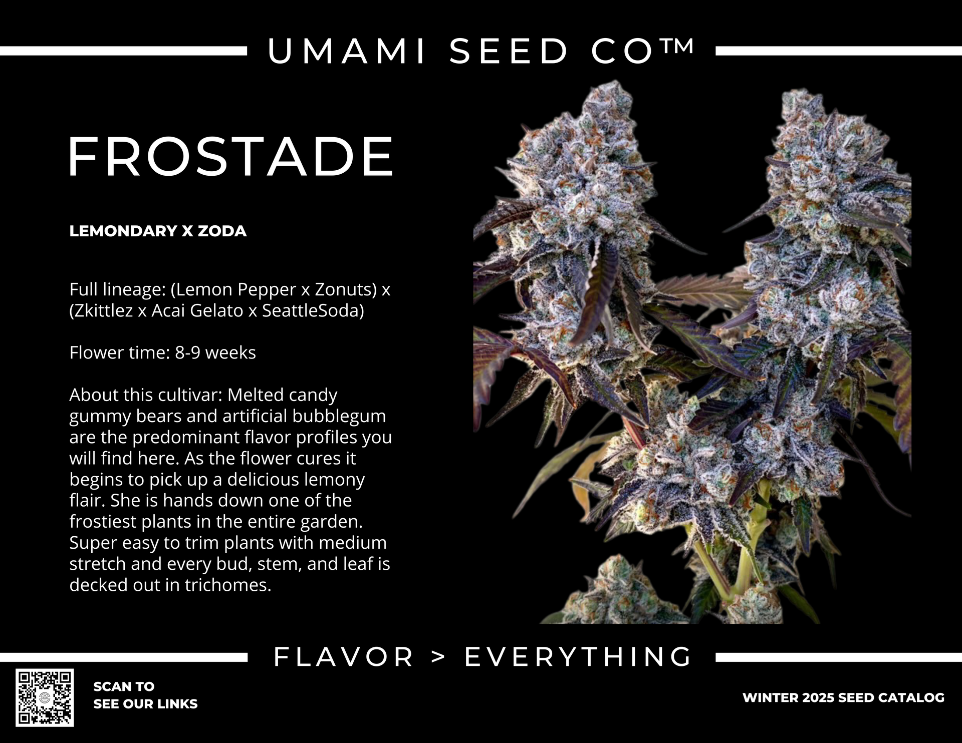 frostade umami seed co
