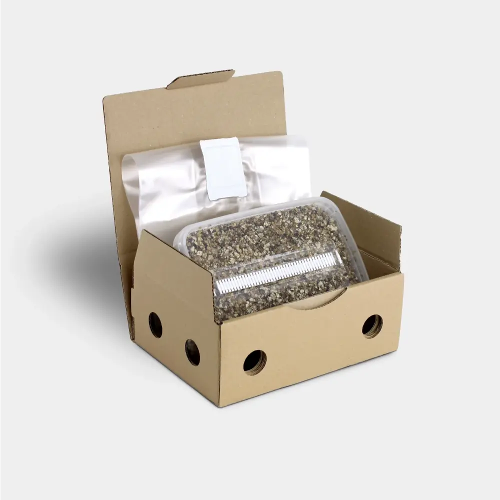 B- - Grow Kit - 1200cc - immagine 2